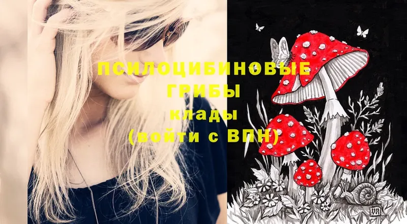 Псилоцибиновые грибы Magic Shrooms  Батайск 